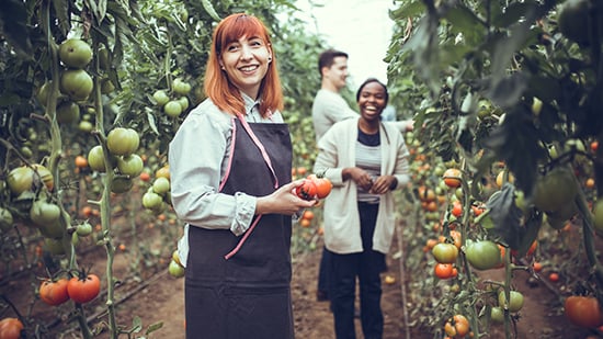 diversity-in-communities