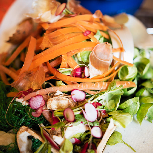 A plate of healthy food