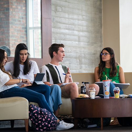 Group of students studying together on library couches