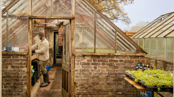 A man working in a greenhouse
