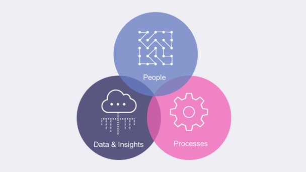 Graphic showing Experiencia components: people, data & insights, processes