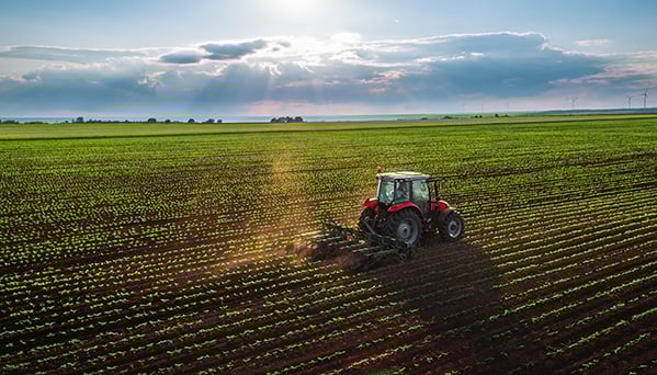 tractor-raking-field-600x342