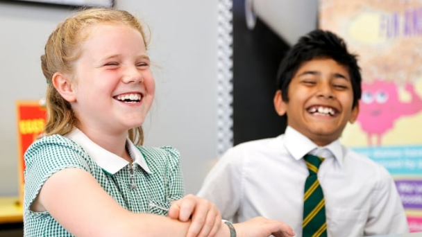 schools-608x342