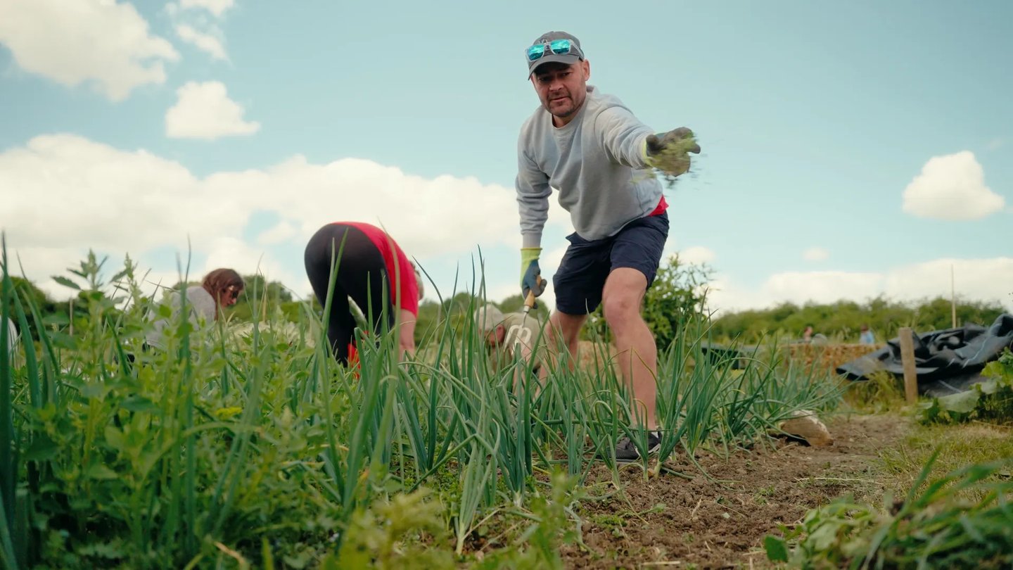 Volunteer harvesting vegetables at a community farm