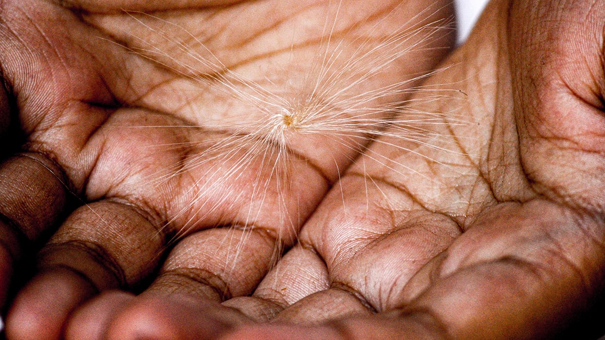 Hands