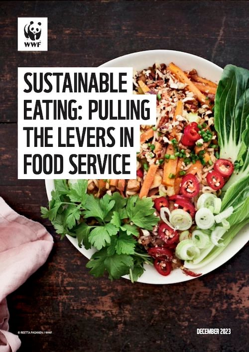 Sustainable eating: pulling the levers in food service
