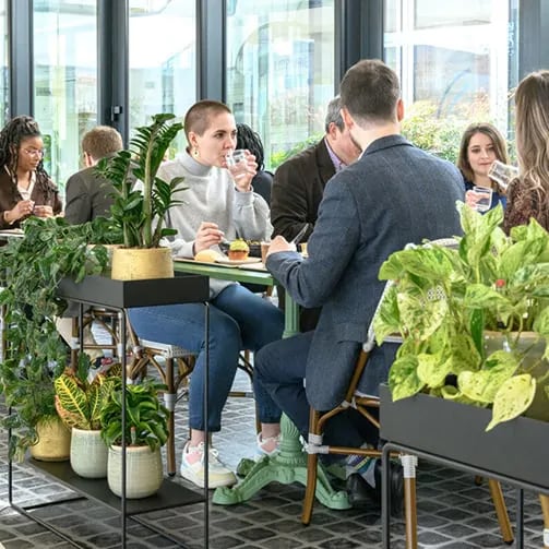 food_services503x503