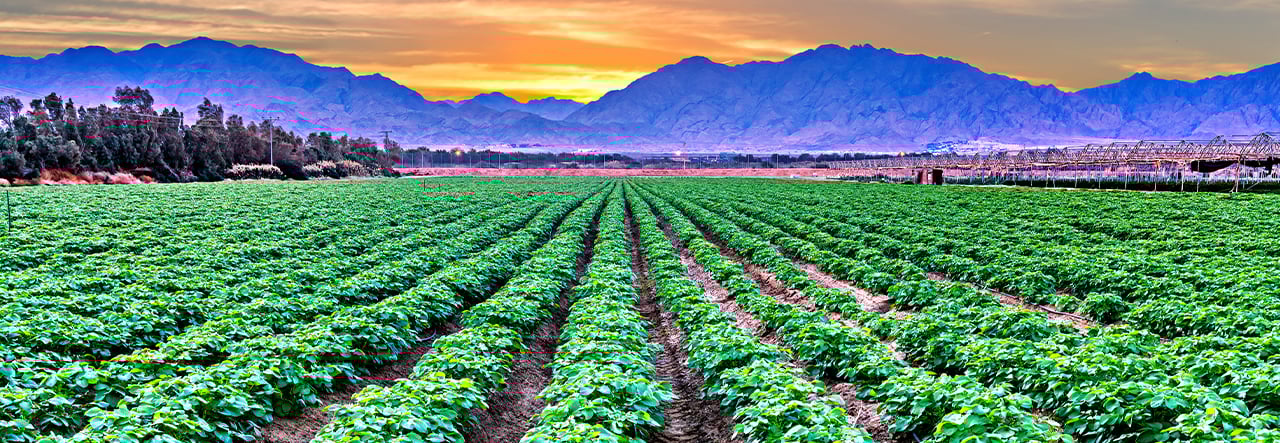 food-sourcing1