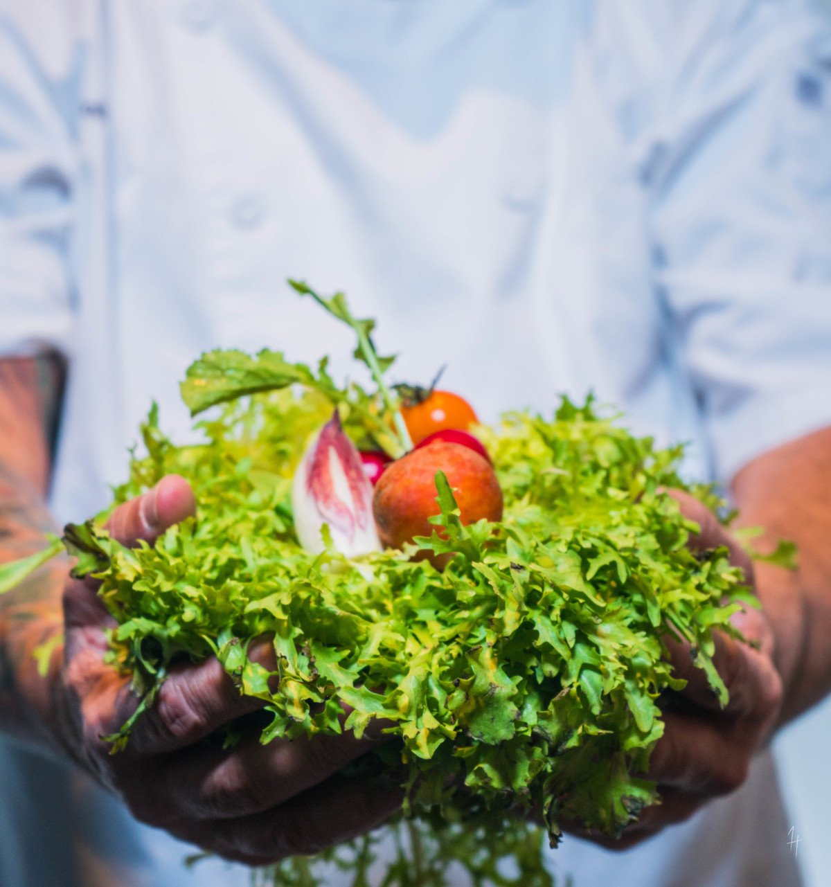 print_s_2 - Culinary report 2020