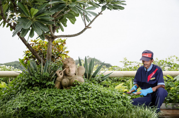 digital_xs_241_14933_21_LANSCAPING_CORPORATE_INDIA