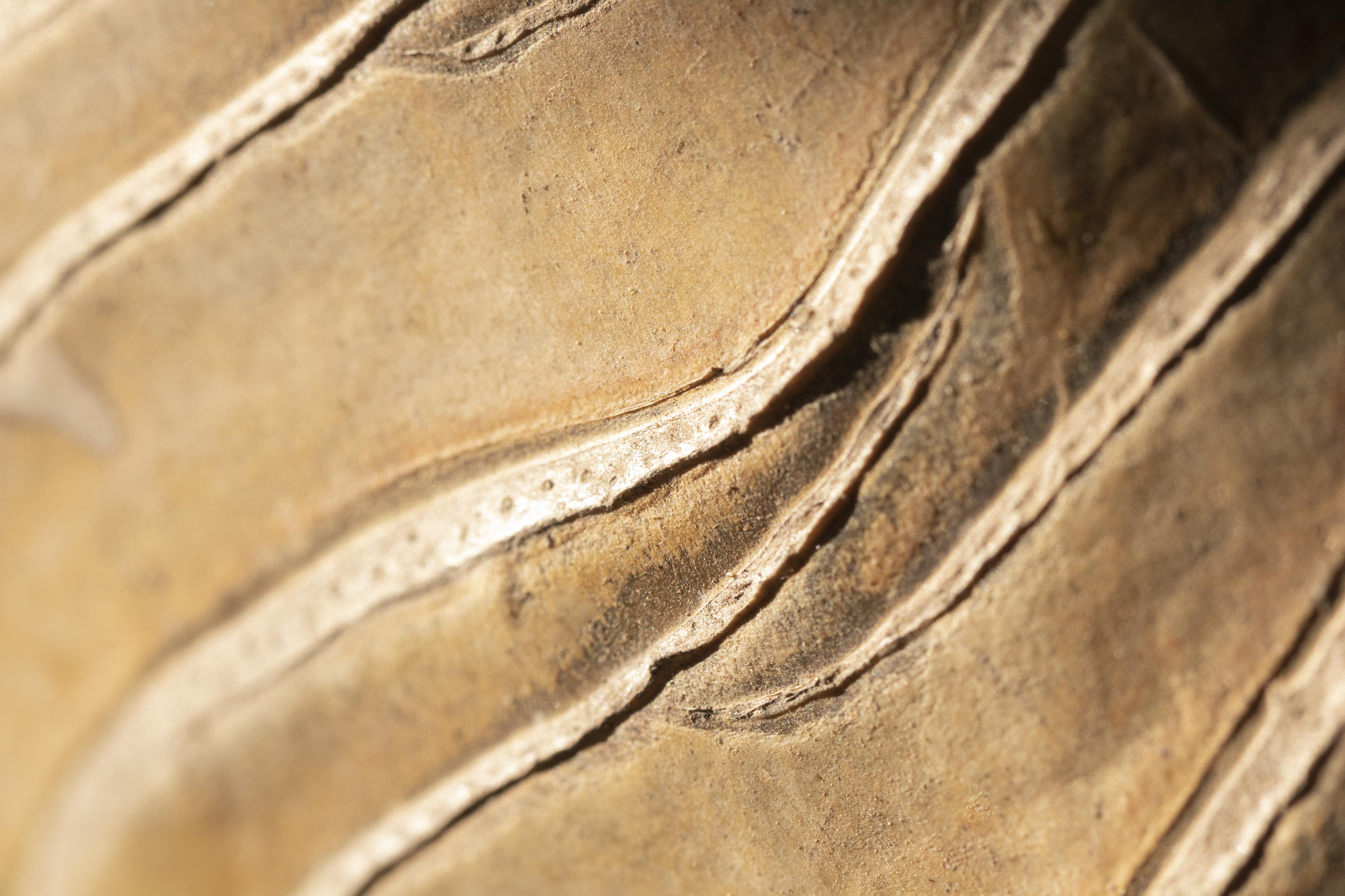 ms_software_copilot_tech 1