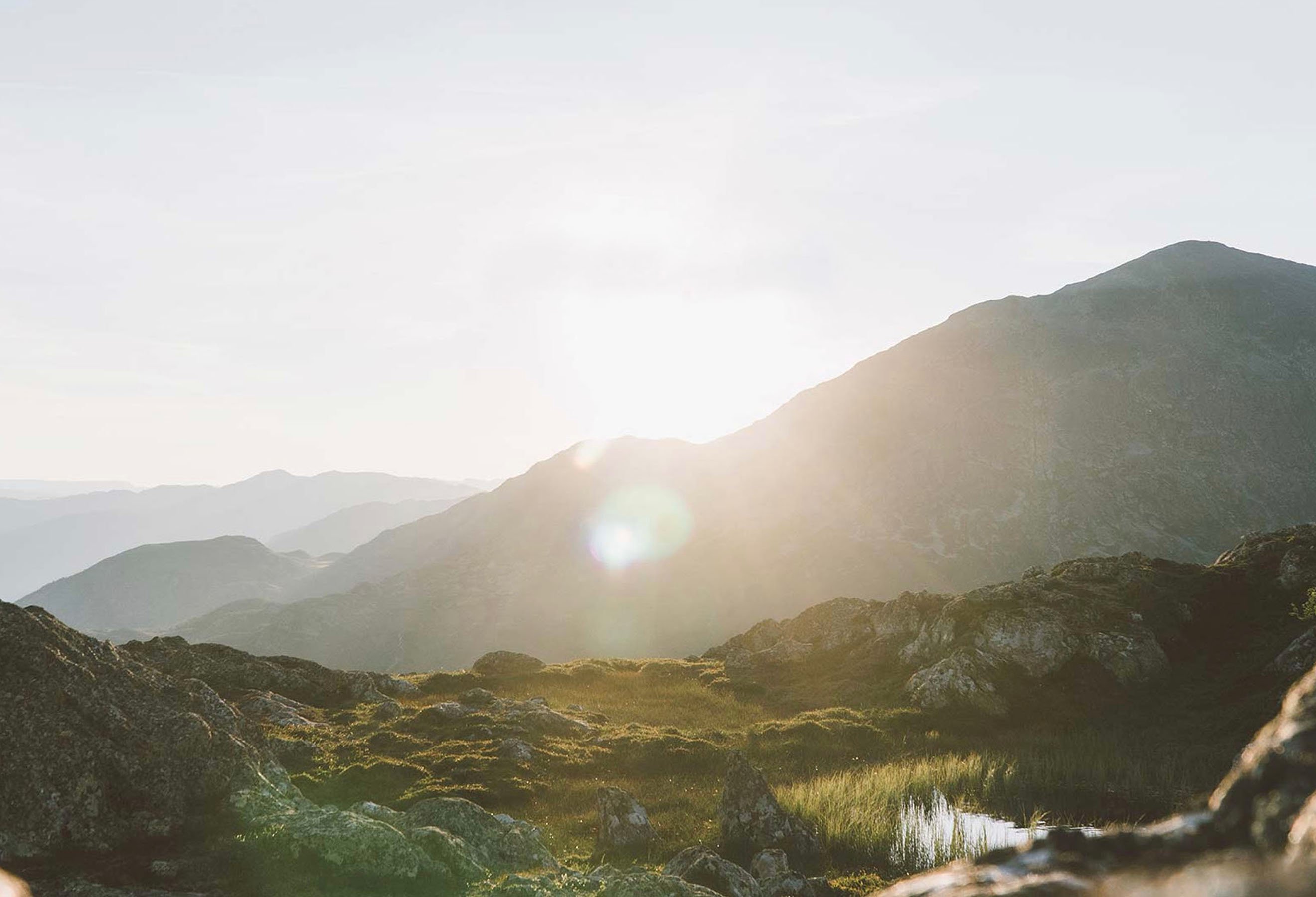 Utsikt mot skog og fjell i solnedgang