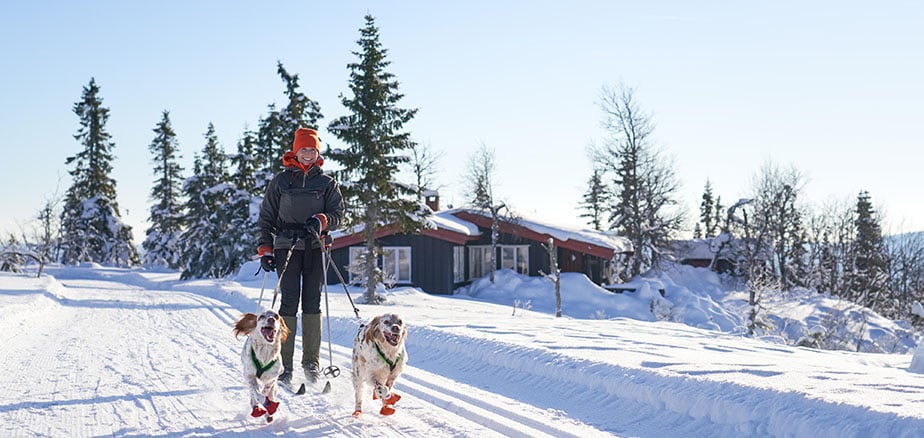 Dame i skisporet med to hunder. Bekymringsfri med fastrentelån.