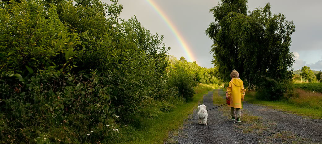 Gutt og hund foran regnbue
