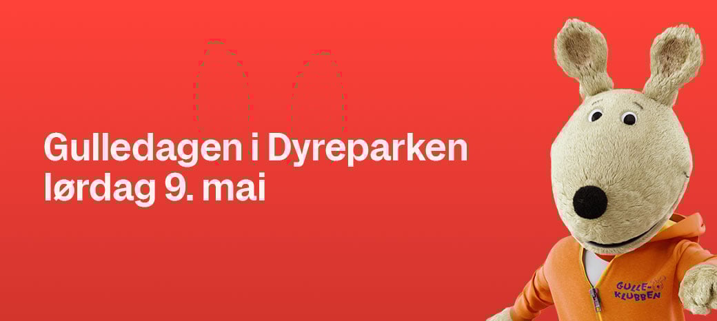 Gulledagen-9-mai-bilde-1040x466
