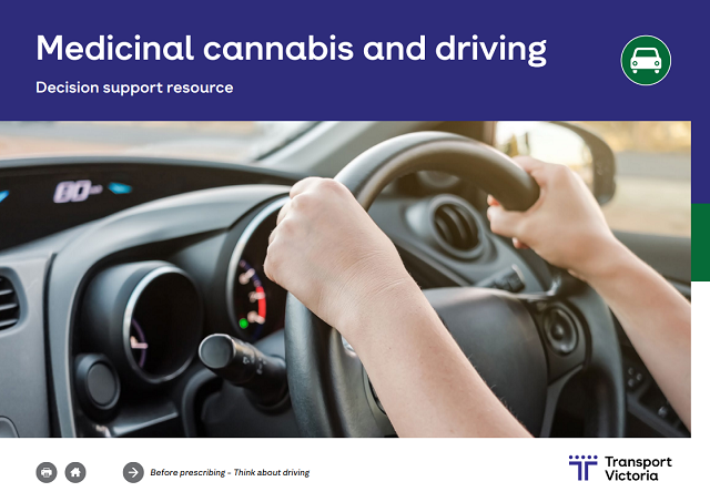 Cannabis and Driving front cover