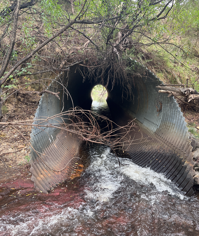 Image of the Dartmouth Road Culvert Works at Watchingorra Creek