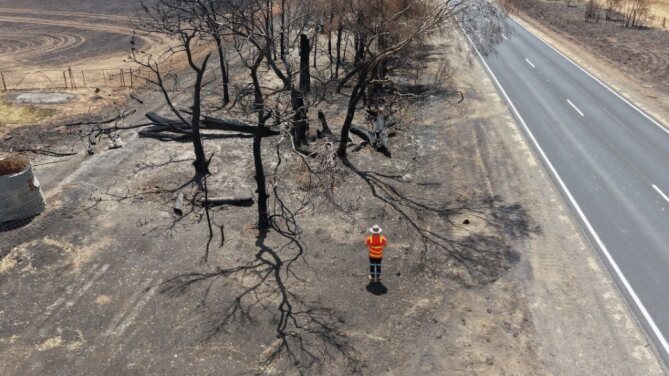Image of worker in high vis inspecting a bushfire affected area