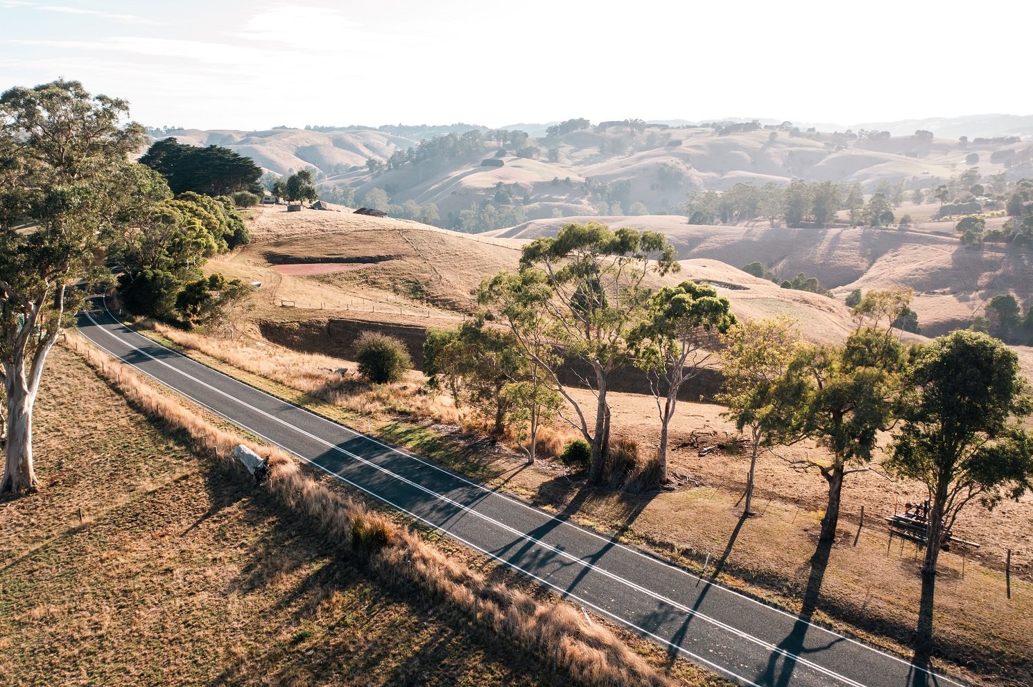 Image of a rural road in the Gippsland region