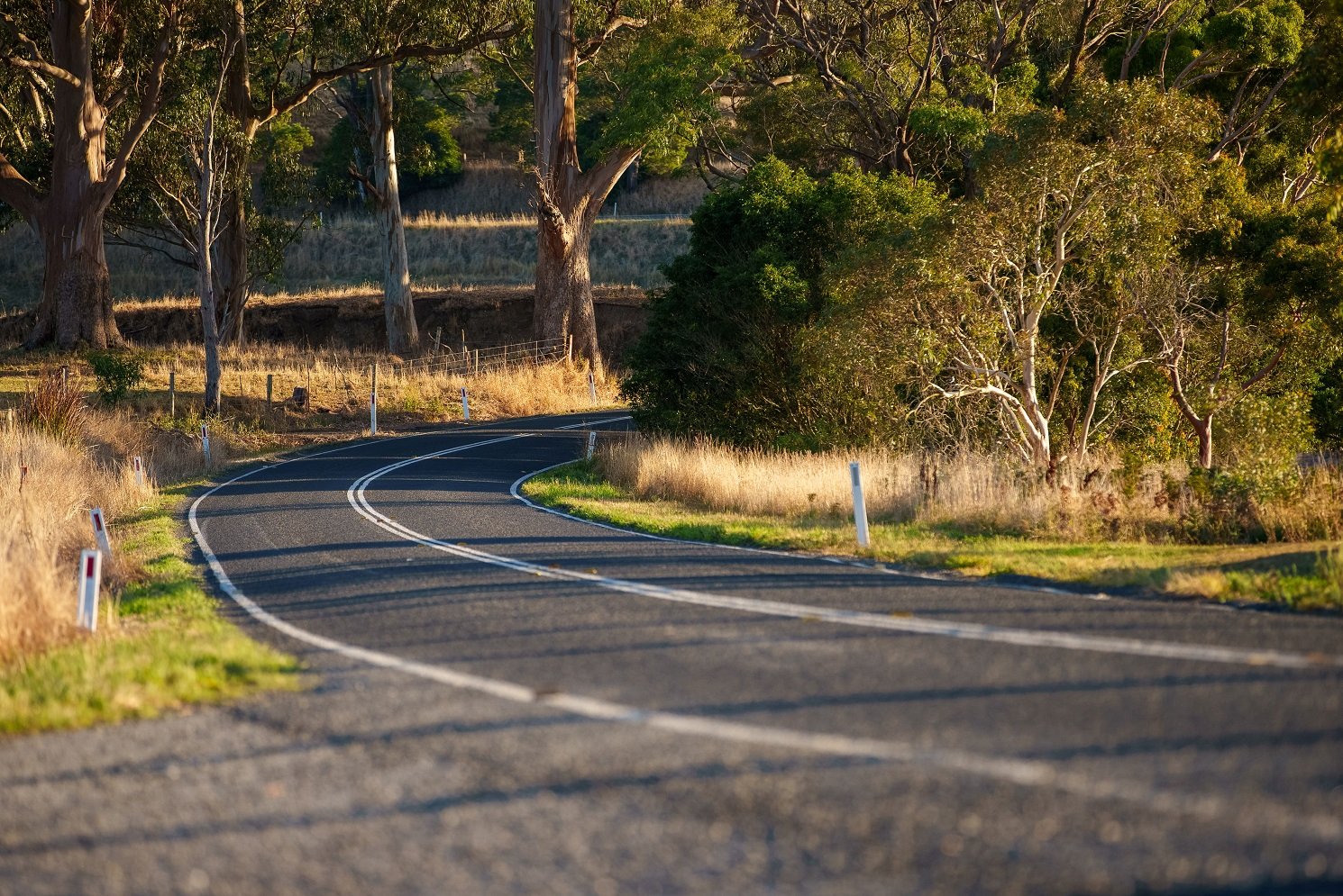 Image of a rural road in the Grampians region