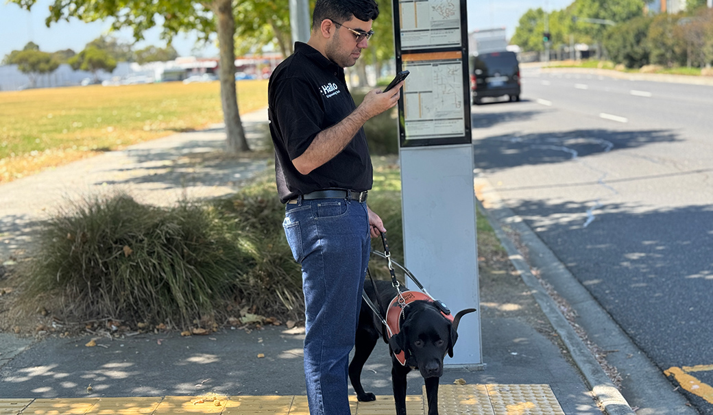 Image of a man and his dog at a bus stop looking at his phone