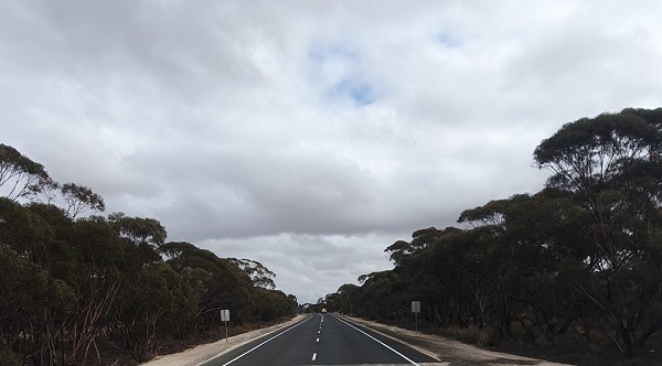 Image of the Mallee Highway at Panitya