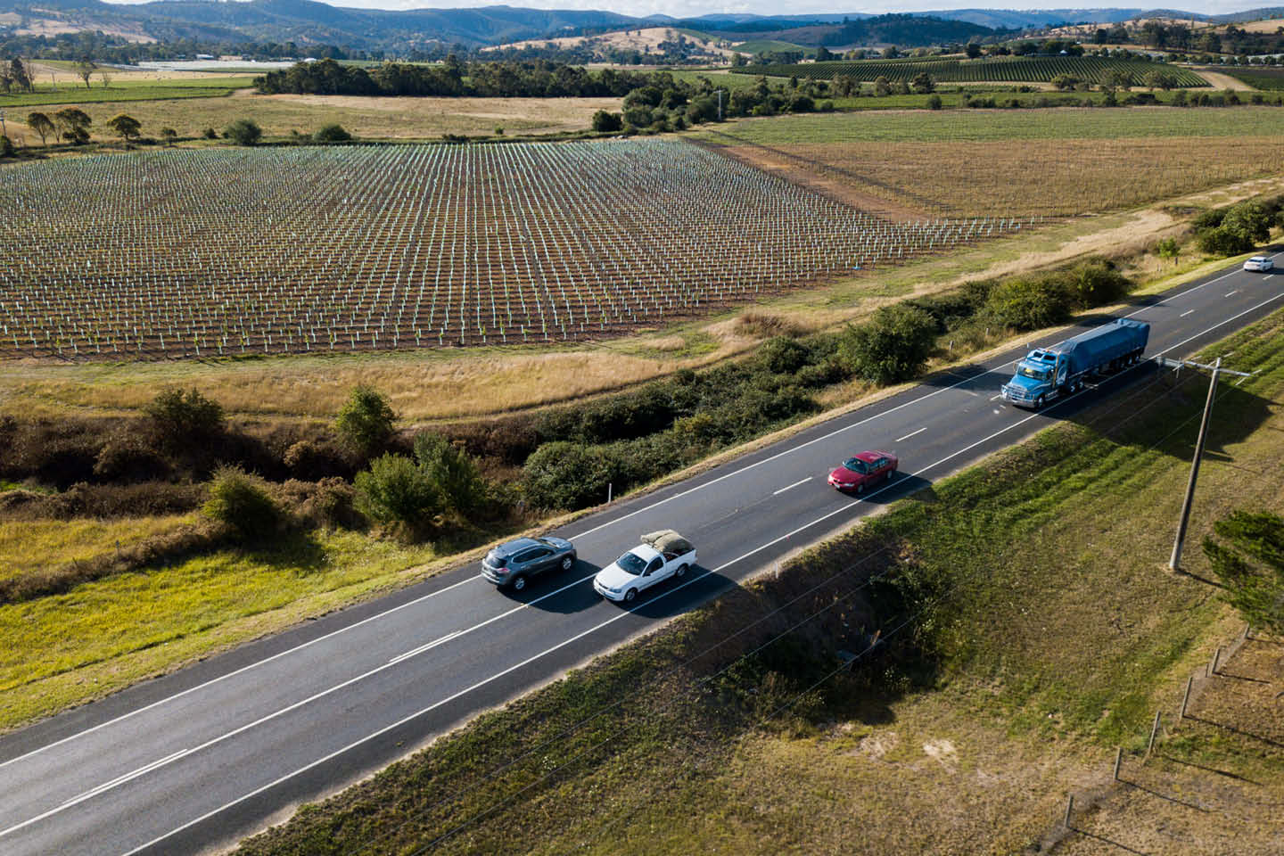 Photograph of a highway with cars and truck, driving past a field of growing trees