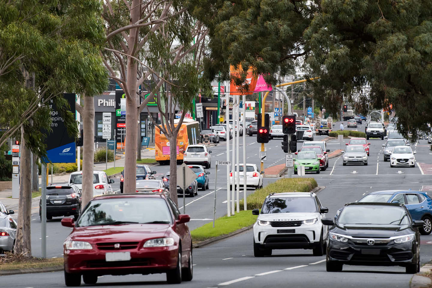 Photograph of cars driving on a busy main road, surrounded by gum trees