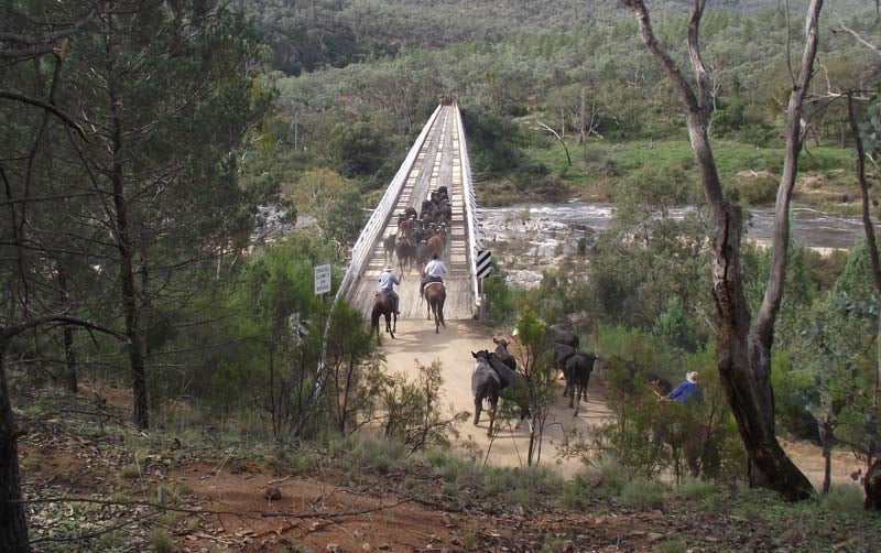 mckillops-bridge-valley-repairs-banner-800x502