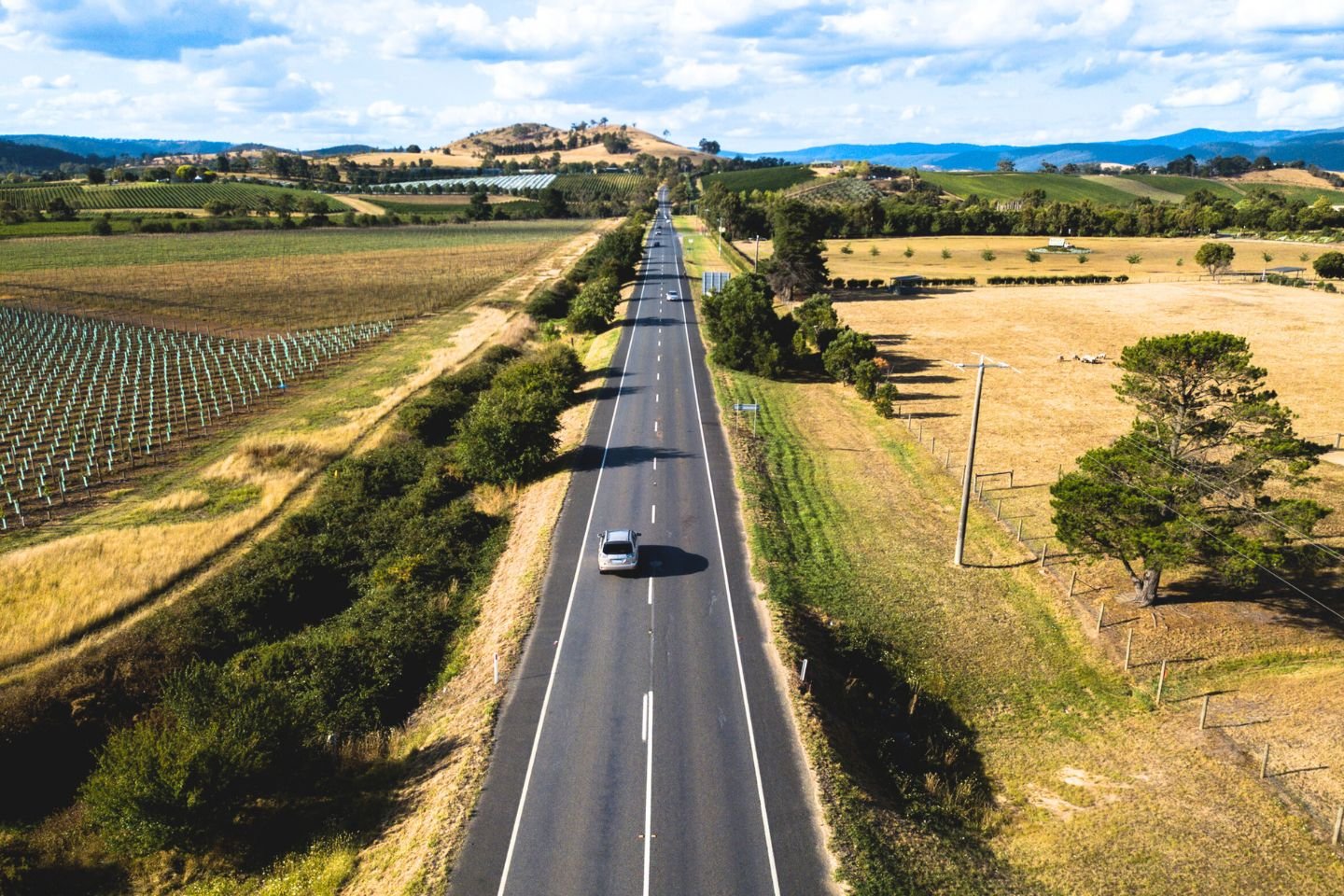 Cars driving along a rural, two-lane road. There are grape vines on the left and mountains in the distance.
