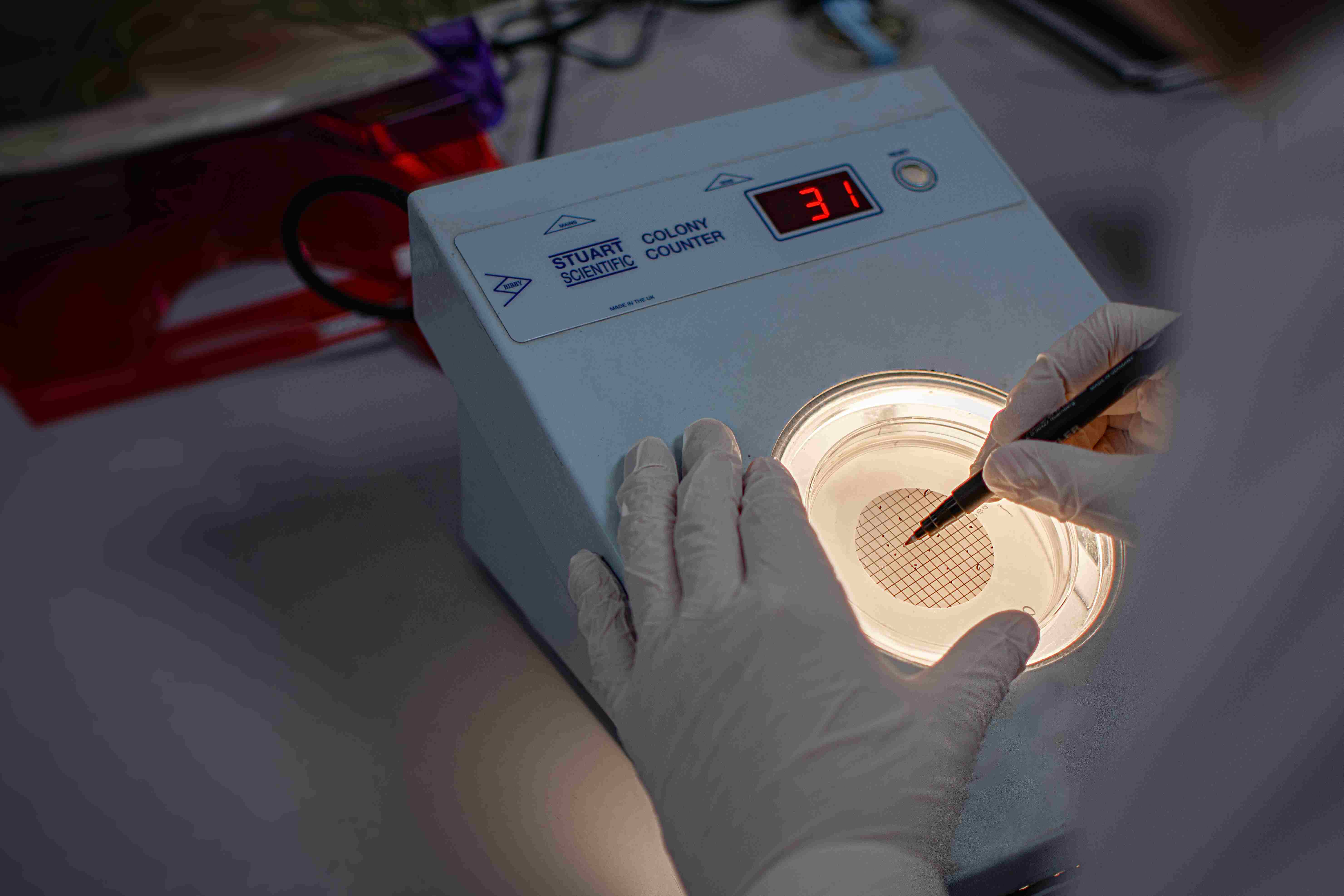 Analytical Testing Services