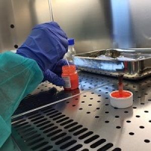 2019.04-Seriate-Lab-20-200px-300x300