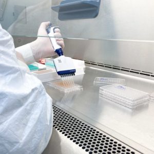 Cytotoxicity Testing