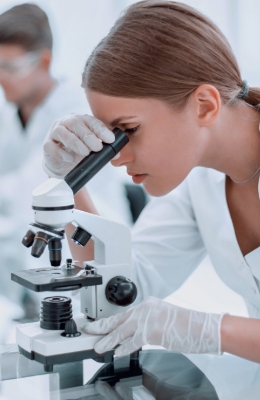 Radiation Sterilization Validation Services