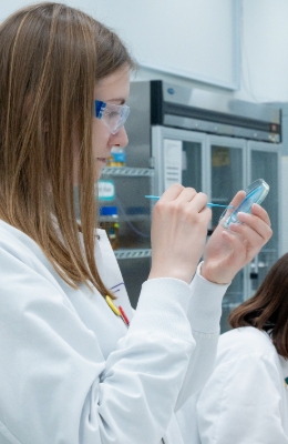 Microbial Identification