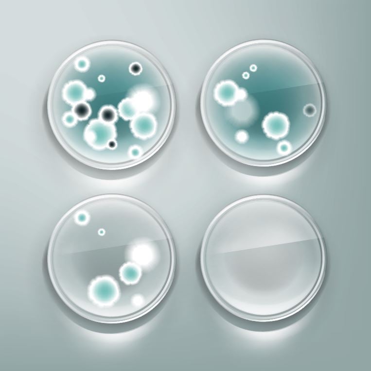 Antimicrobial Effectiveness