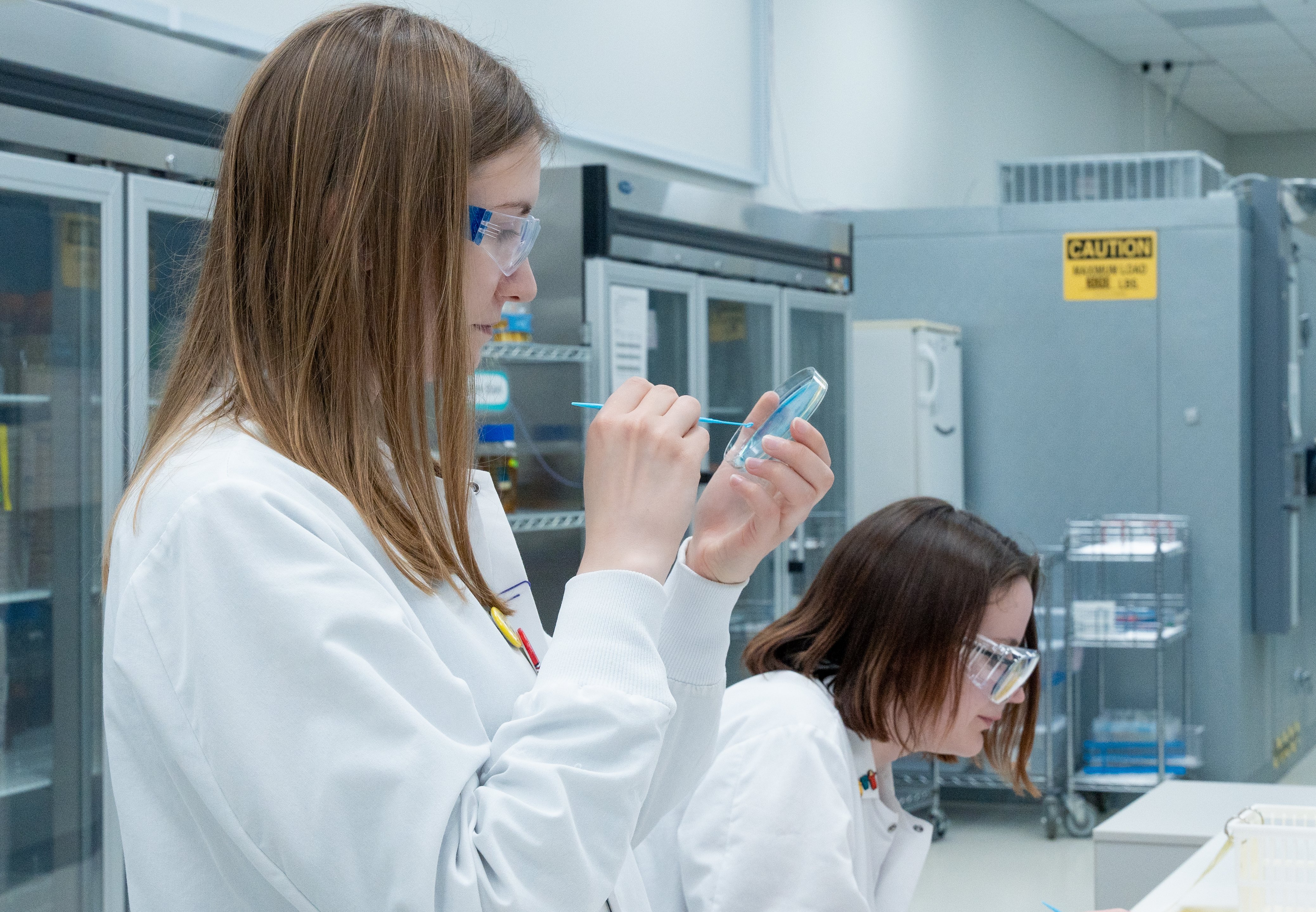 Microbial Identification