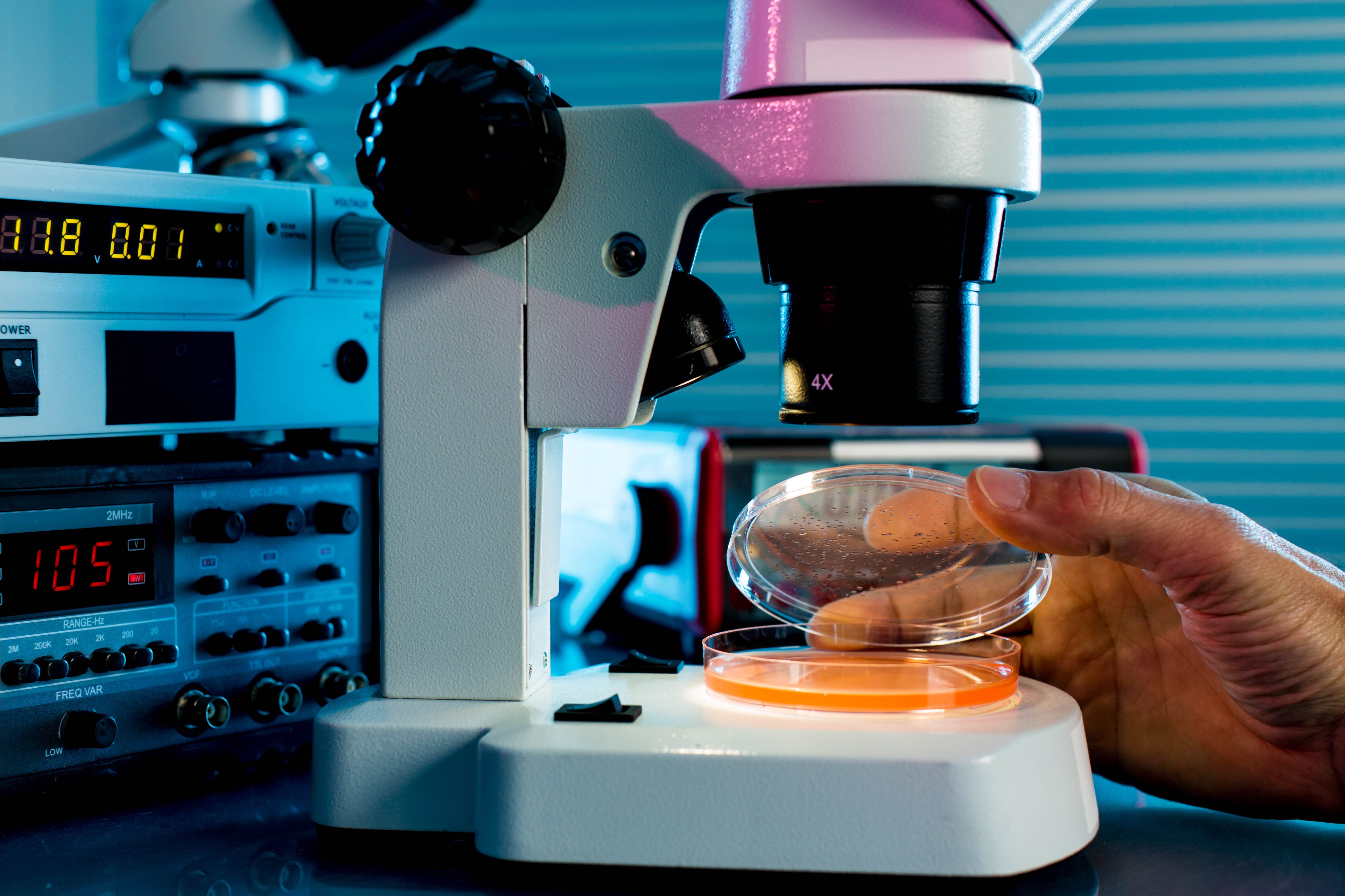 Microbial Limits Testing