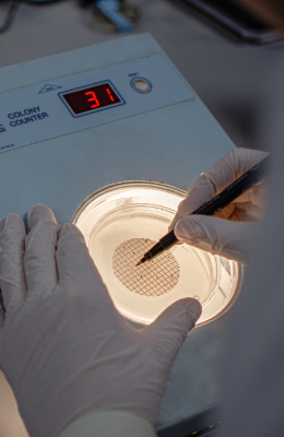 Analytical Testing Services