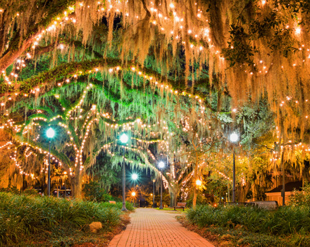 “Florida town center plaza with lit trees