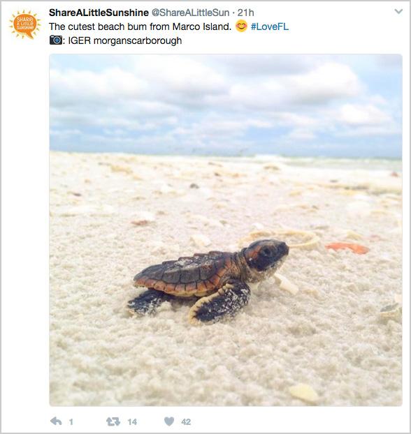 Get a Little Sunshine Twitter account