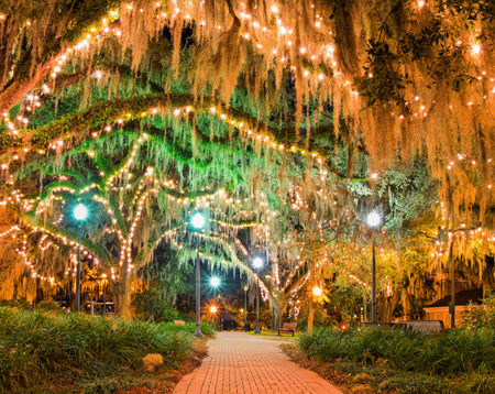 “Florida town center plaza with lit trees