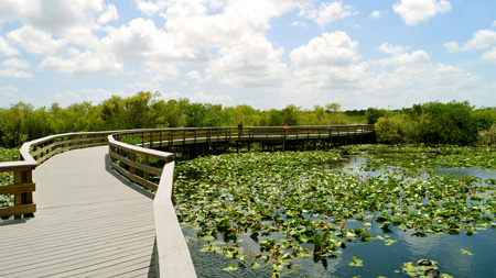 “Florida park walkway bridge