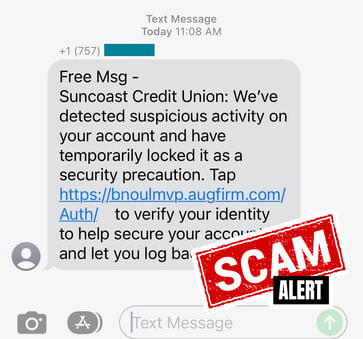 Scam Alert Text Message