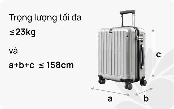 Hành lý tính cước tại sân bay
