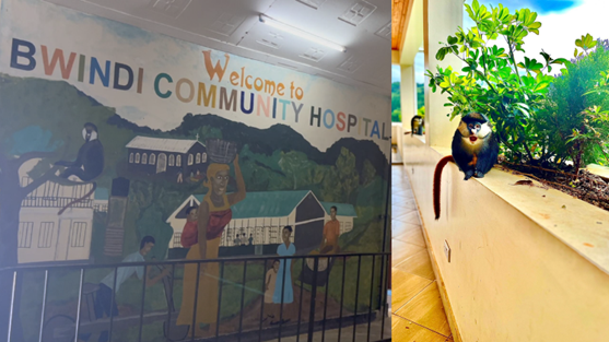 bwindi-welcome-cpmc-im