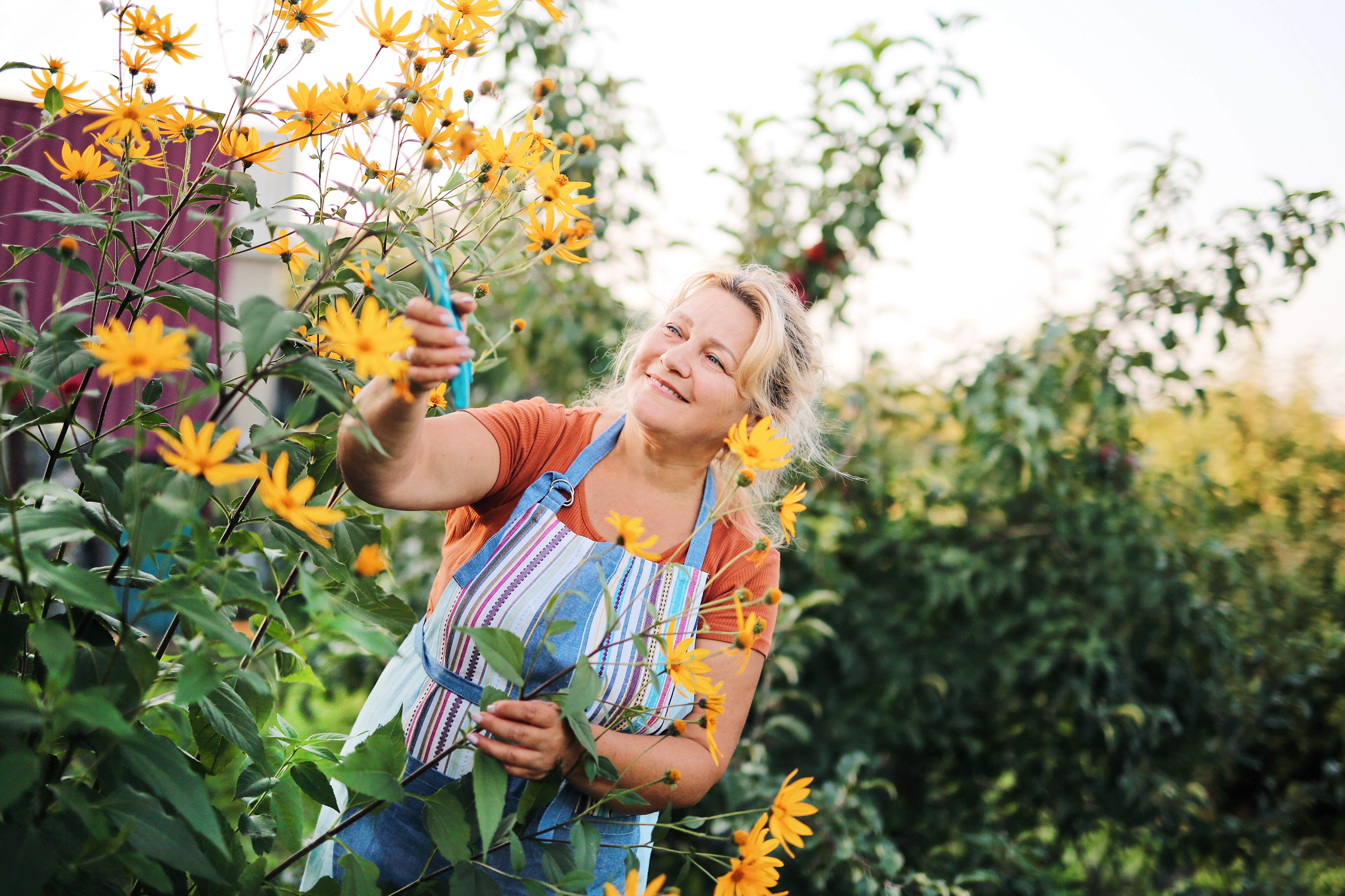 three-stages-menopause
