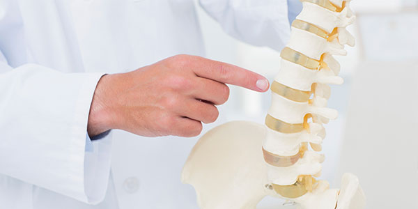 Doctor pointing at anatomical spine