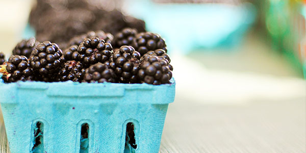 Blackberries