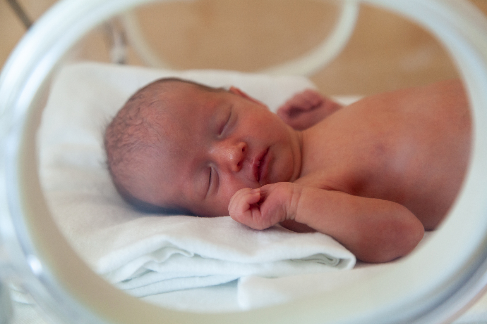 A premature infant lies in an incubator in a NICU